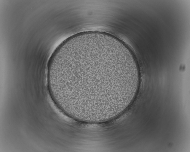 X0000113141079200910021434
