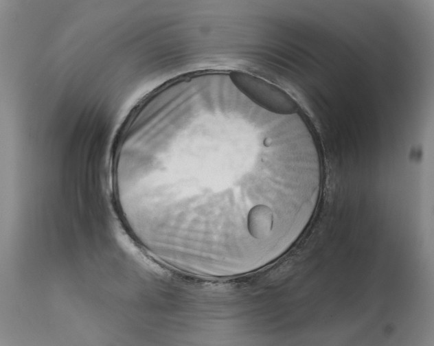 X0000113141080200910021434