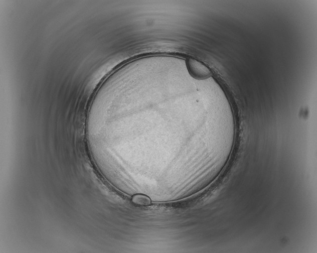 X0000113141081200910021434