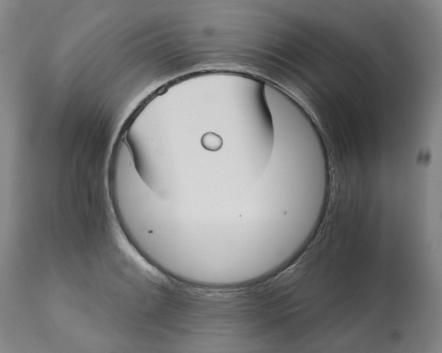 X0000113141084200910021434