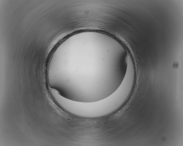 X0000113141085200910021434