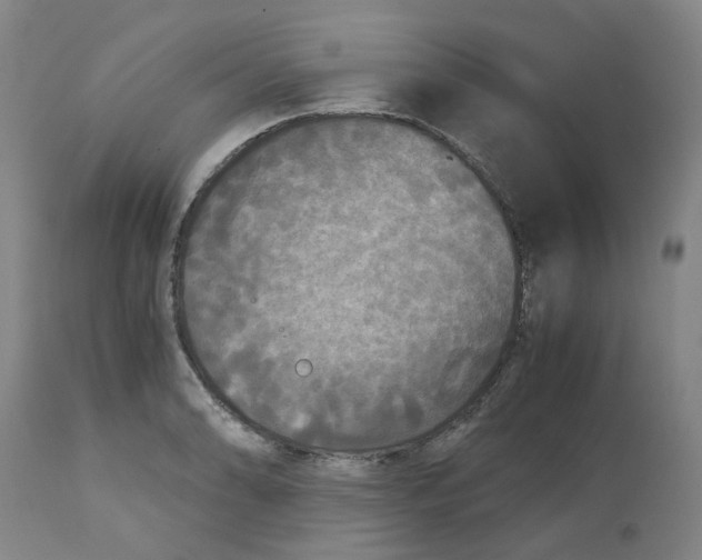 X0000113141086200910021434