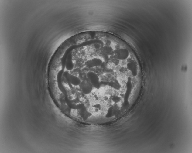 X0000113141087200910021434