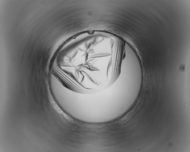X0000113141088200910021434