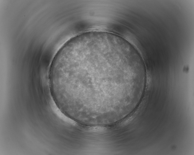 X0000113141090200910021434