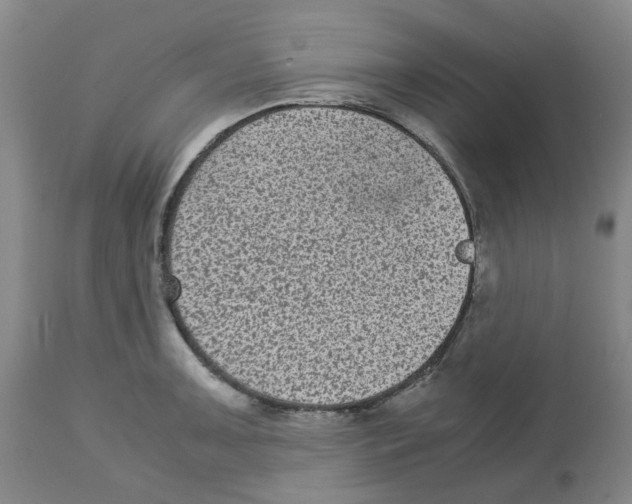 X0000113141091200910021434