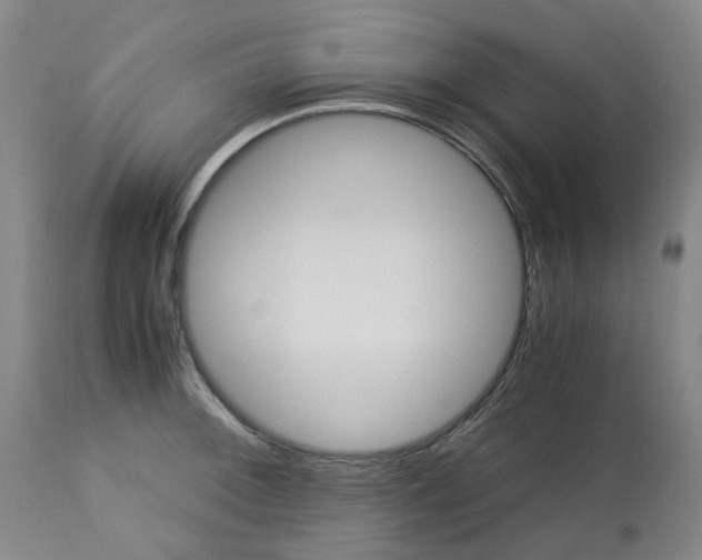 X0000113141092200910021434