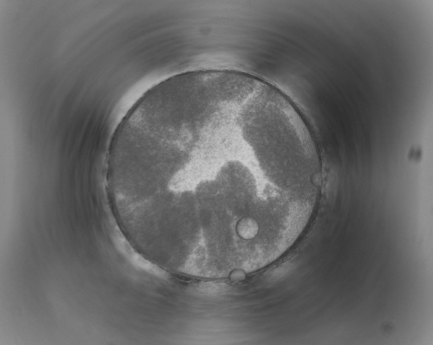 X0000113141094200910021434