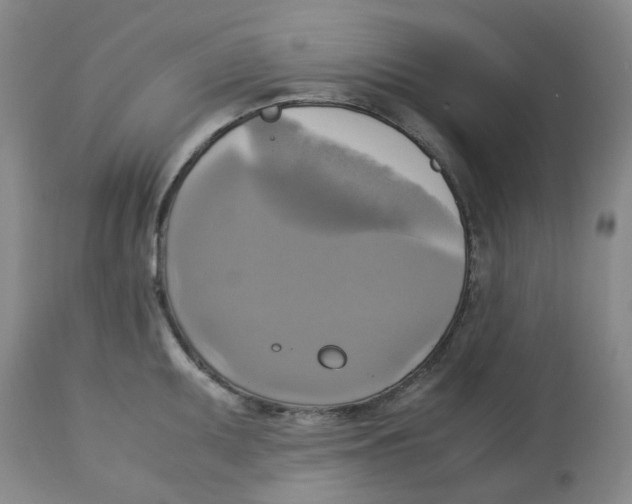 X0000113141095200910021434