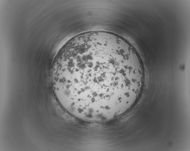 X0000113141097200910021434