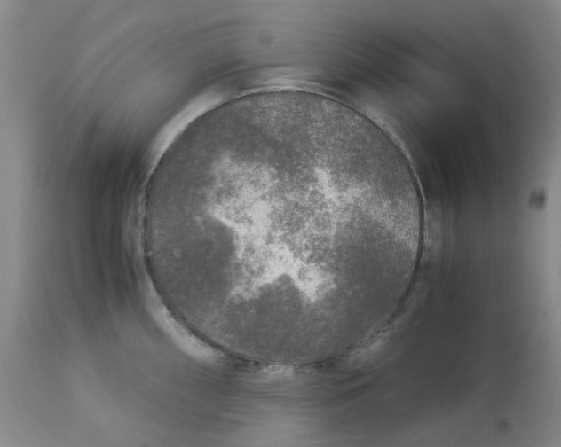 X0000113141098200910021434
