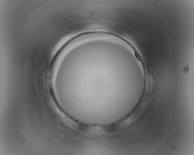 X0000113141101200910021434