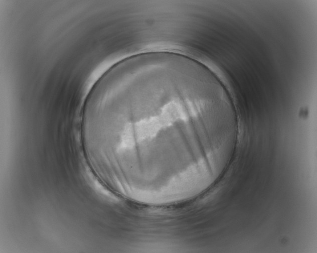 X0000113141102200910021434