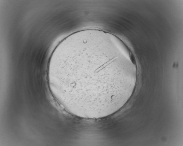X0000113141104200910021434