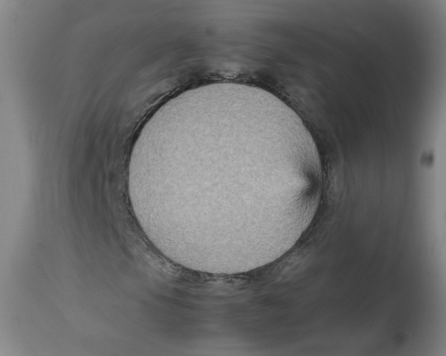 X0000113141105200910021433