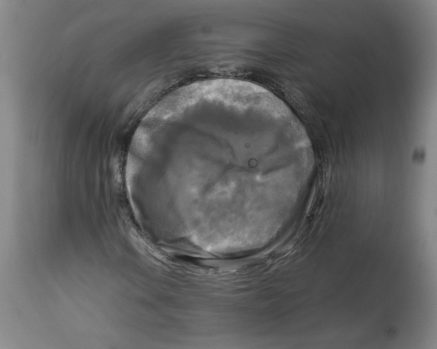 X0000113141106200910021433