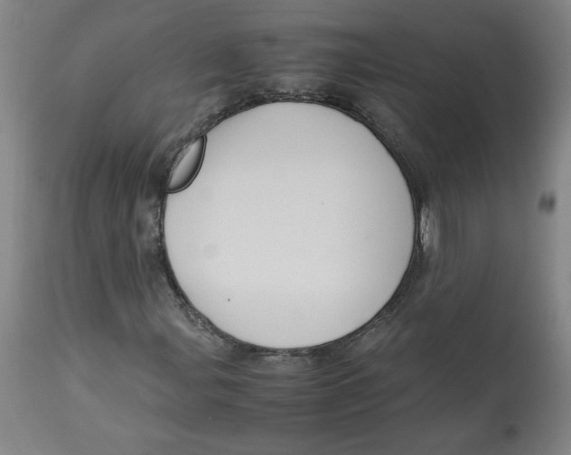 X0000113141107200910021433