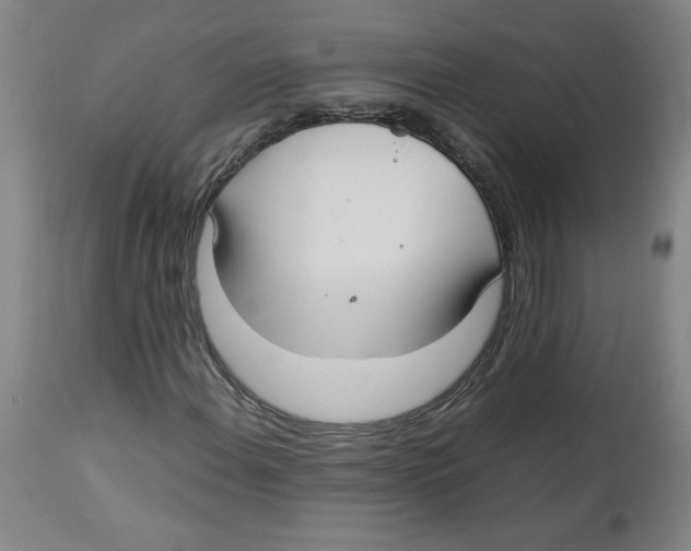 X0000113141108200910021433