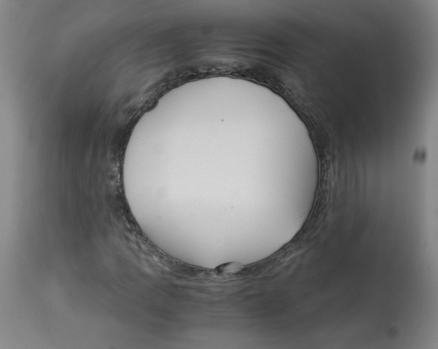 X0000113141109200910021433
