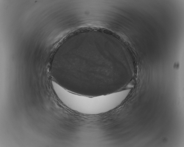 X0000113141110200910021434