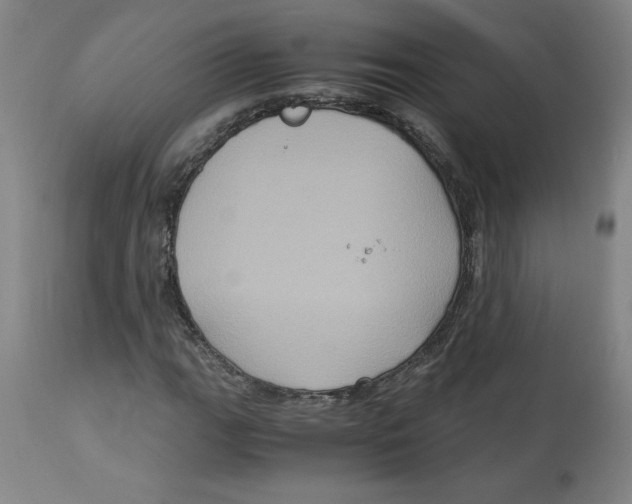 X0000113141111200910021434