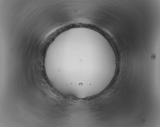 X0000113141112200910021434