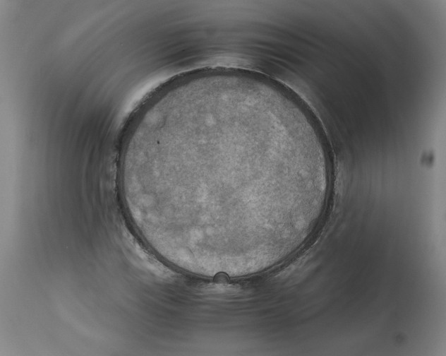 X0000113141115200910021434