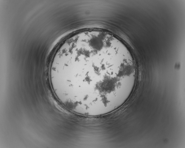 X0000113141116200910021434