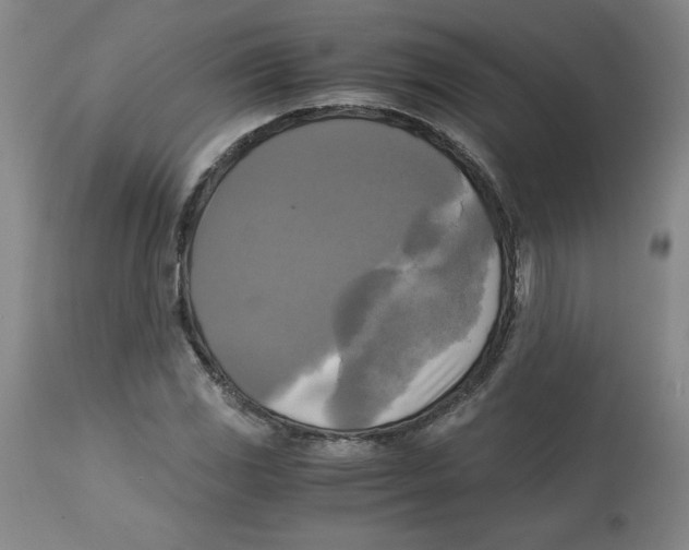 X0000113141117200910021434