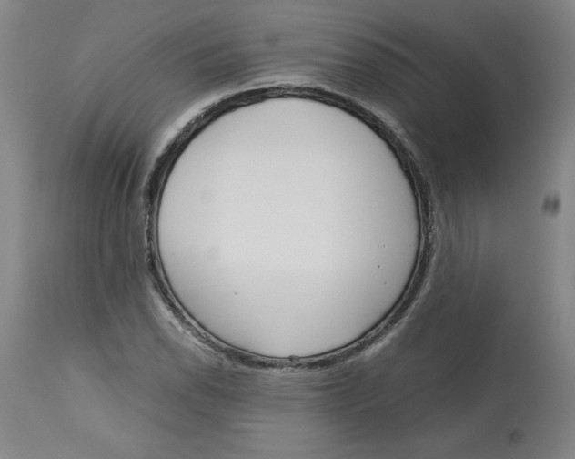 X0000113141118200910021434