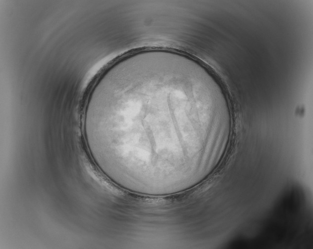 X0000113141120200910021434
