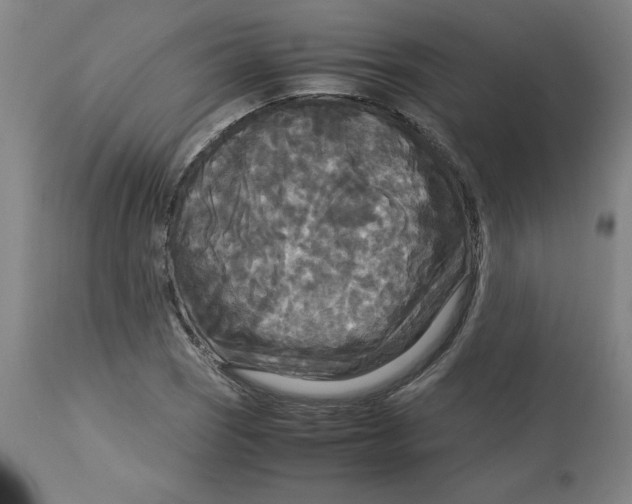 X0000113141121200910021434