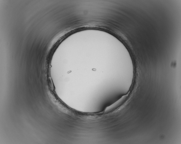 X0000113141122200910021434