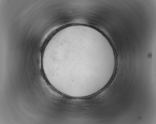 X0000113141123200910021434