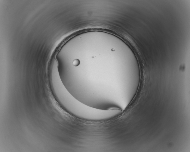 X0000113141124200910021434