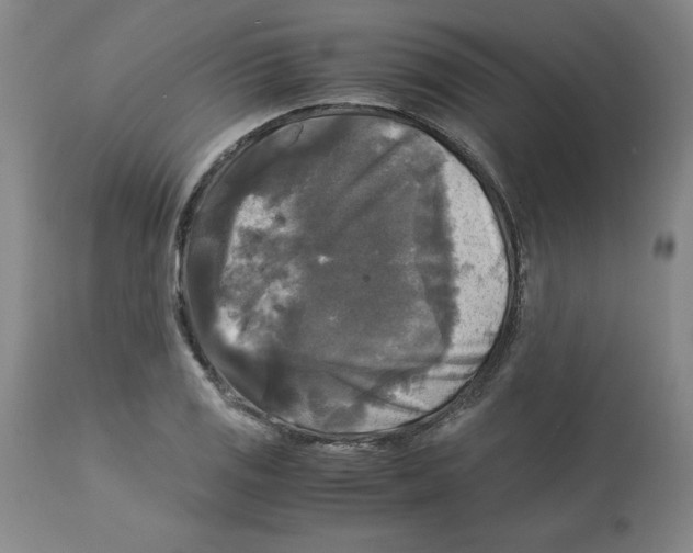X0000113141125200910021434