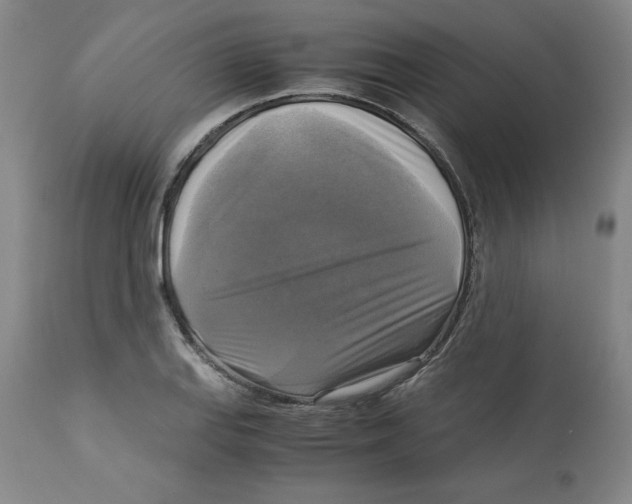 X0000113141127200910021434