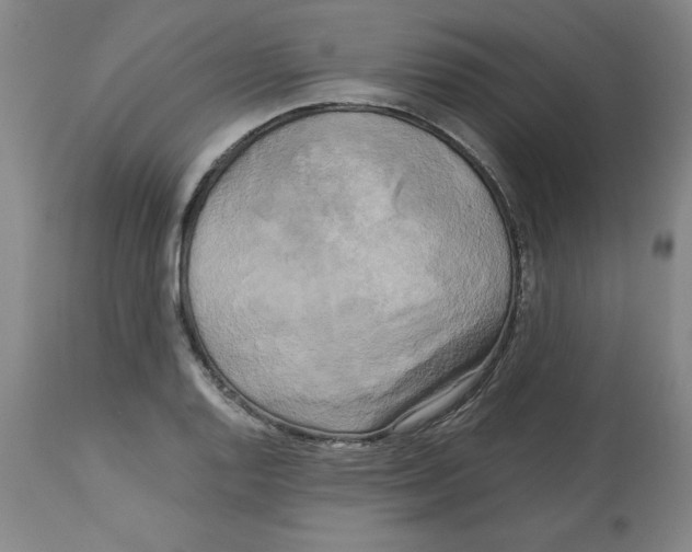 X0000113141128200910021434