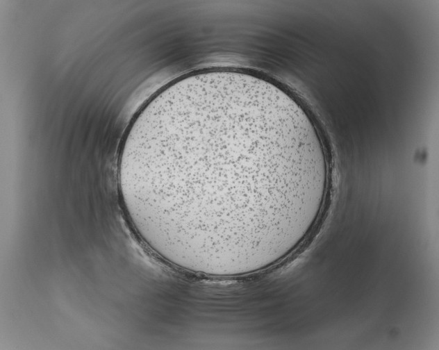 X0000113141129200910021434