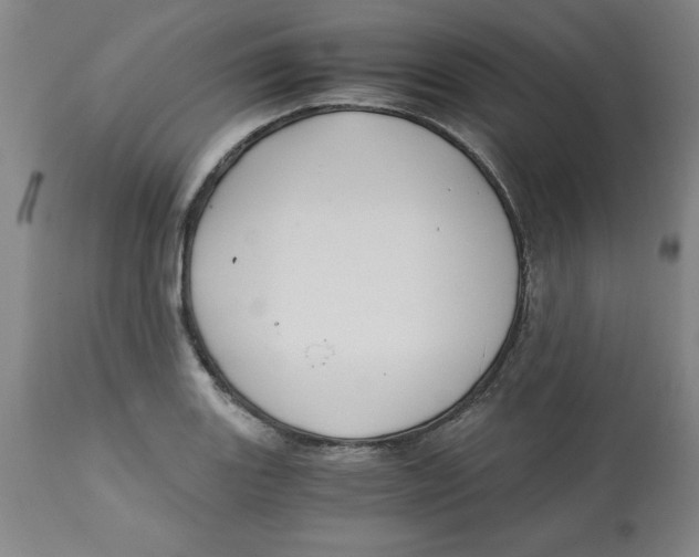 X0000113141131200910021434