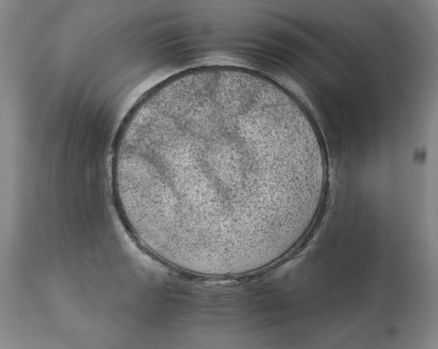 X0000113141133200910021434