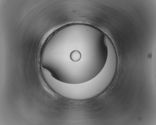 X0000113141136200910021434