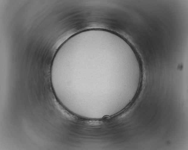 X0000113141137200910021434