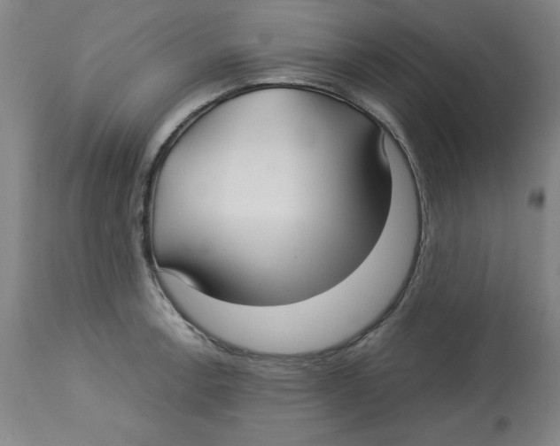 X0000113141138200910021434