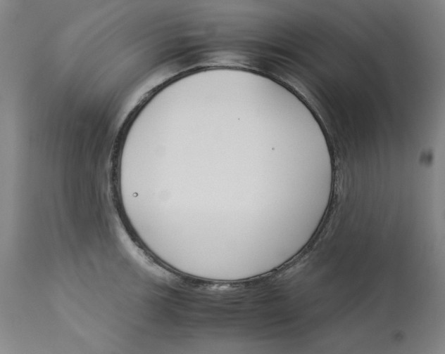 X0000113141139200910021434