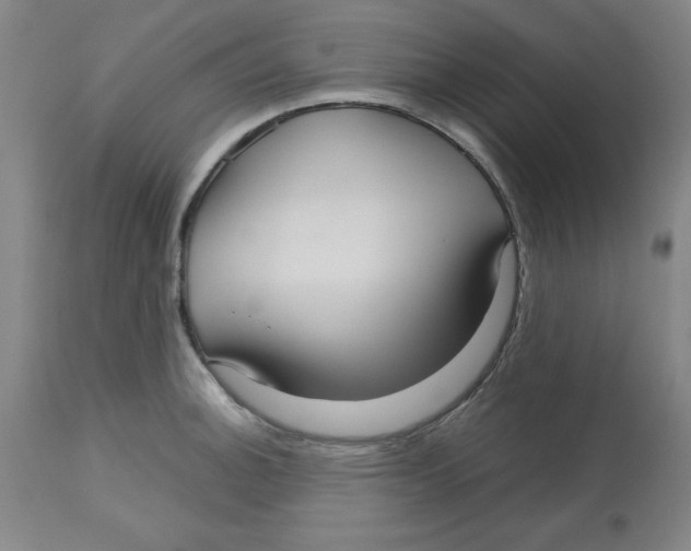 X0000113141140200910021434
