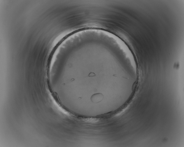 X0000113141141200910021434