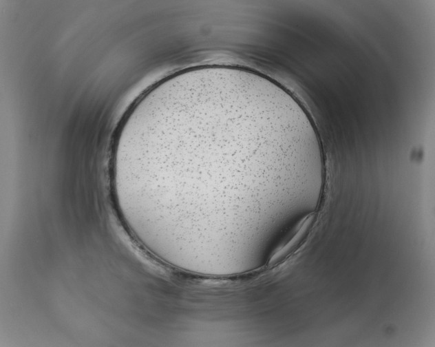 X0000113141142200910021434