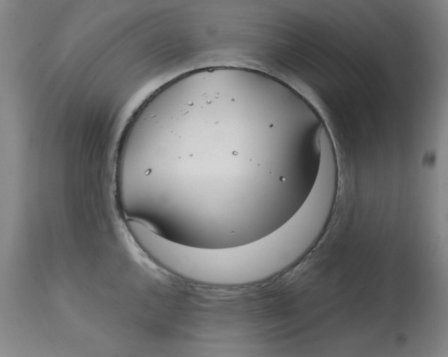 X0000113141144200910021434