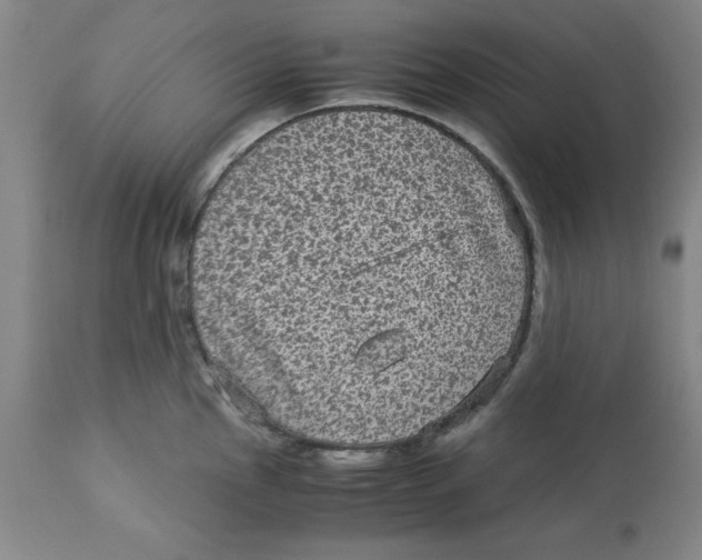 X0000113141145200910021434
